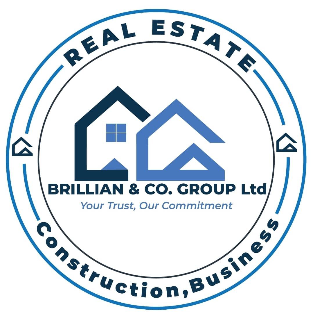 brillian and co group ltd logo