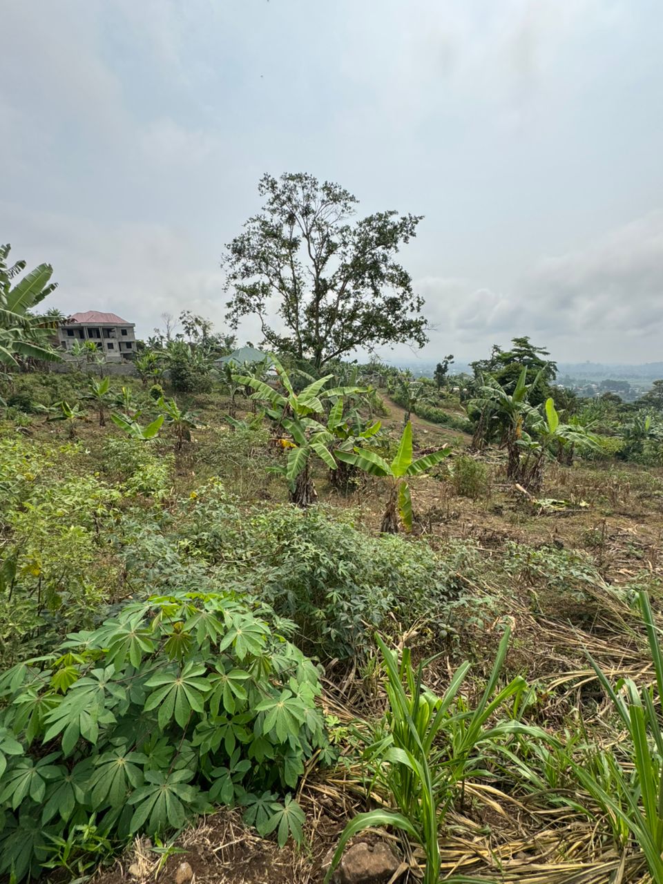 Serviced Land Plot C-3