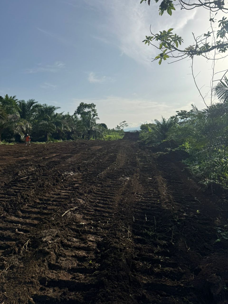 Development Land Plot D-4