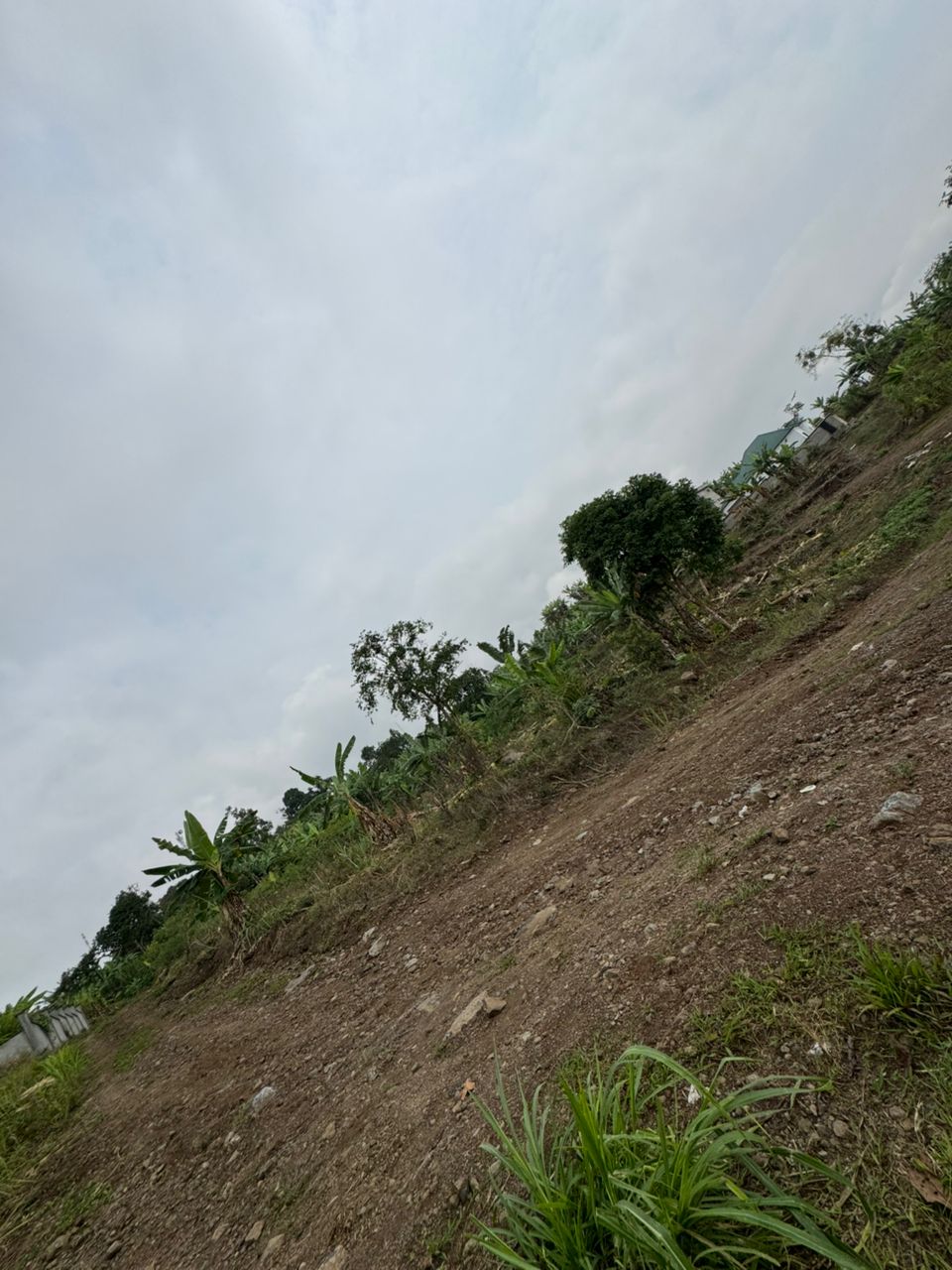 Growth Area Land Plot E-5